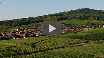 Vidéo Drone-Vignoble-Alsace