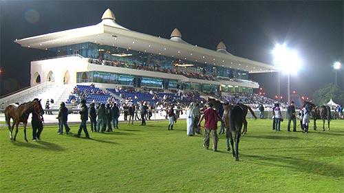 Courses de chevaux au Qatar